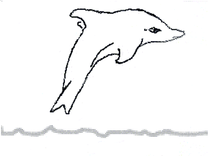 dolphin