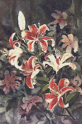 Lilies